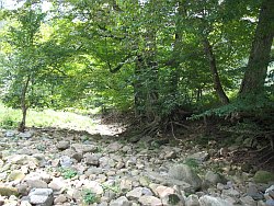 The Big Spring Fork behind the Field