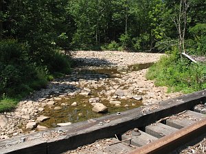 The Big Spring Fork converging into the Elk River