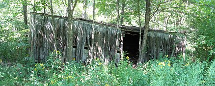 An Old Box Car Abandoned