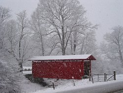 Sharp's Covered Bridge (4 of 4)