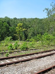 River and Rails