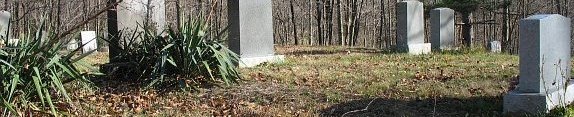 The Sharp Cemetery, atop the mountain south of Route 219.