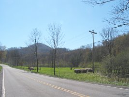 The Proposed Field beside Scenic Route 219