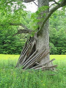 Guardian of the Field