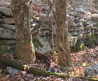 Stone fence and a tree-in-a-bucket.