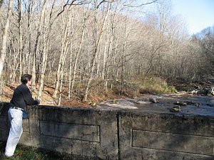 <a href="../main/history.php#eighth">Tom Shipley</a> at the Slaty Fork Bridge today.